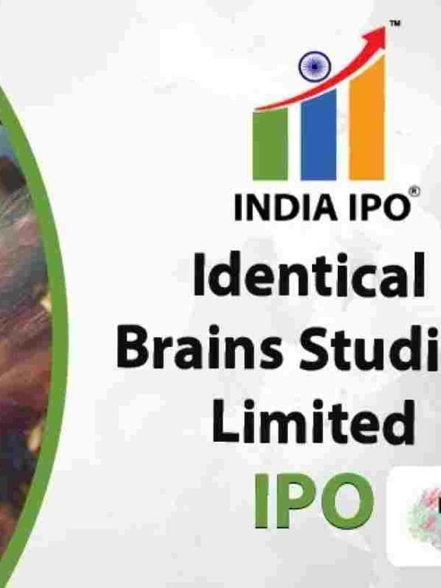 Identical Brains Studios Limited IPO Details