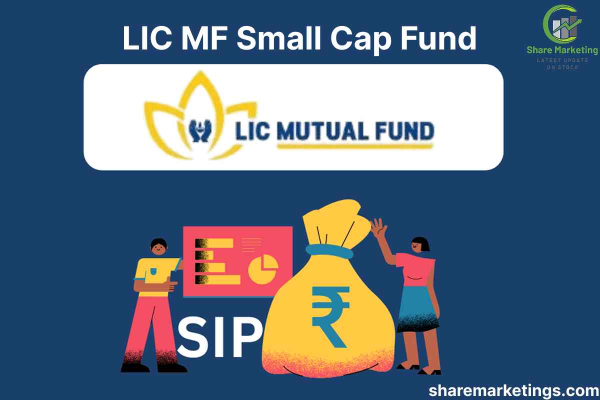 LIC MF Small Cap Fund