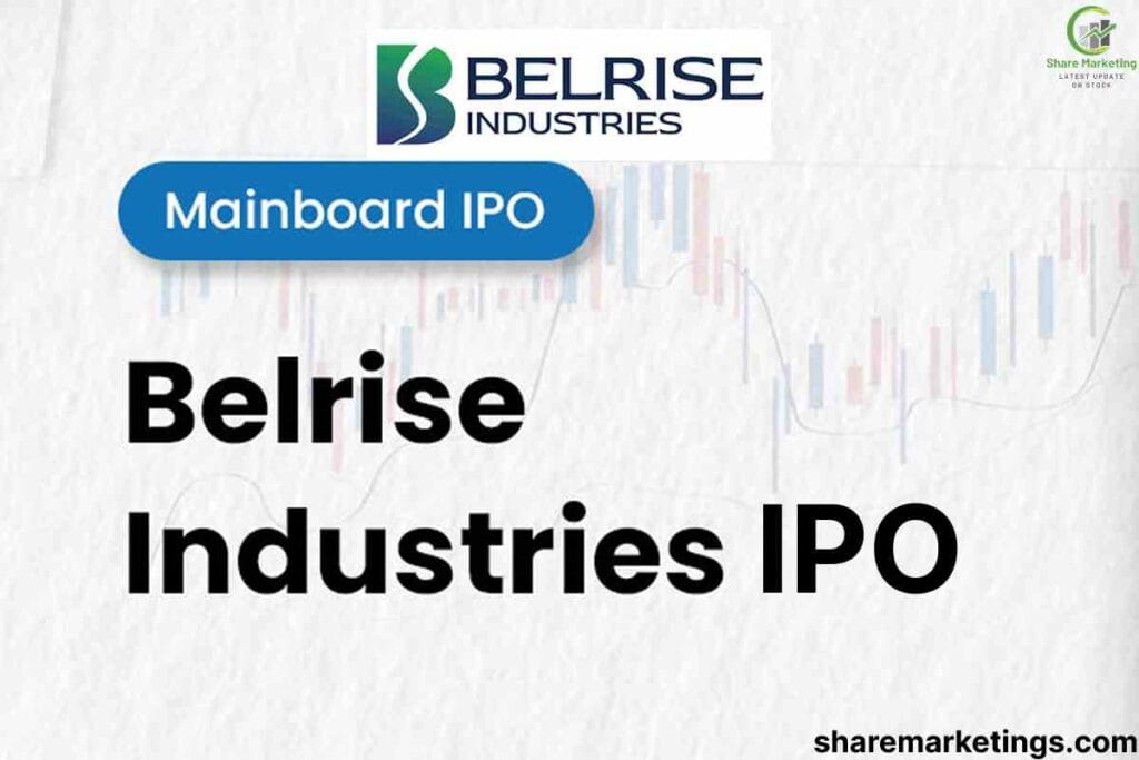 Belrise Industries Limited IPO