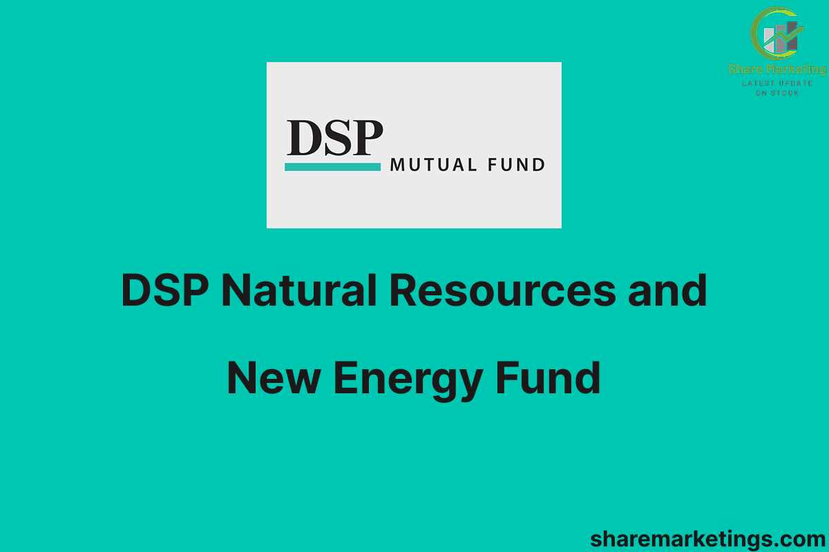 DSP Natural Resources and New Energy Fund