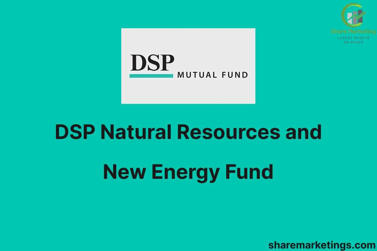 DSP Natural Resources and New Energy Fund