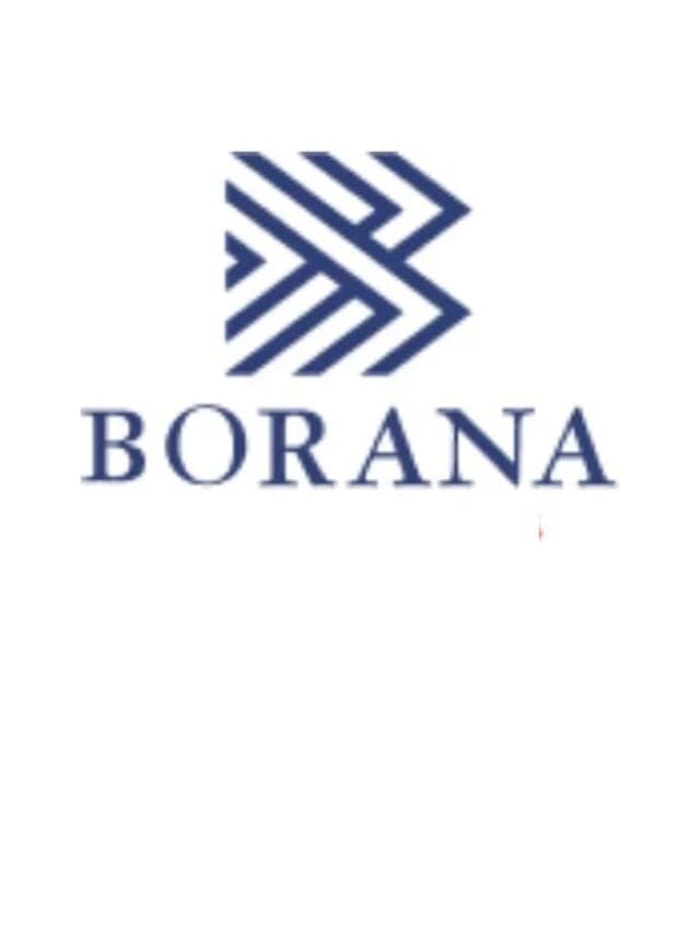Borana Weaves Limited IPO Review: Dates, Price, & Details